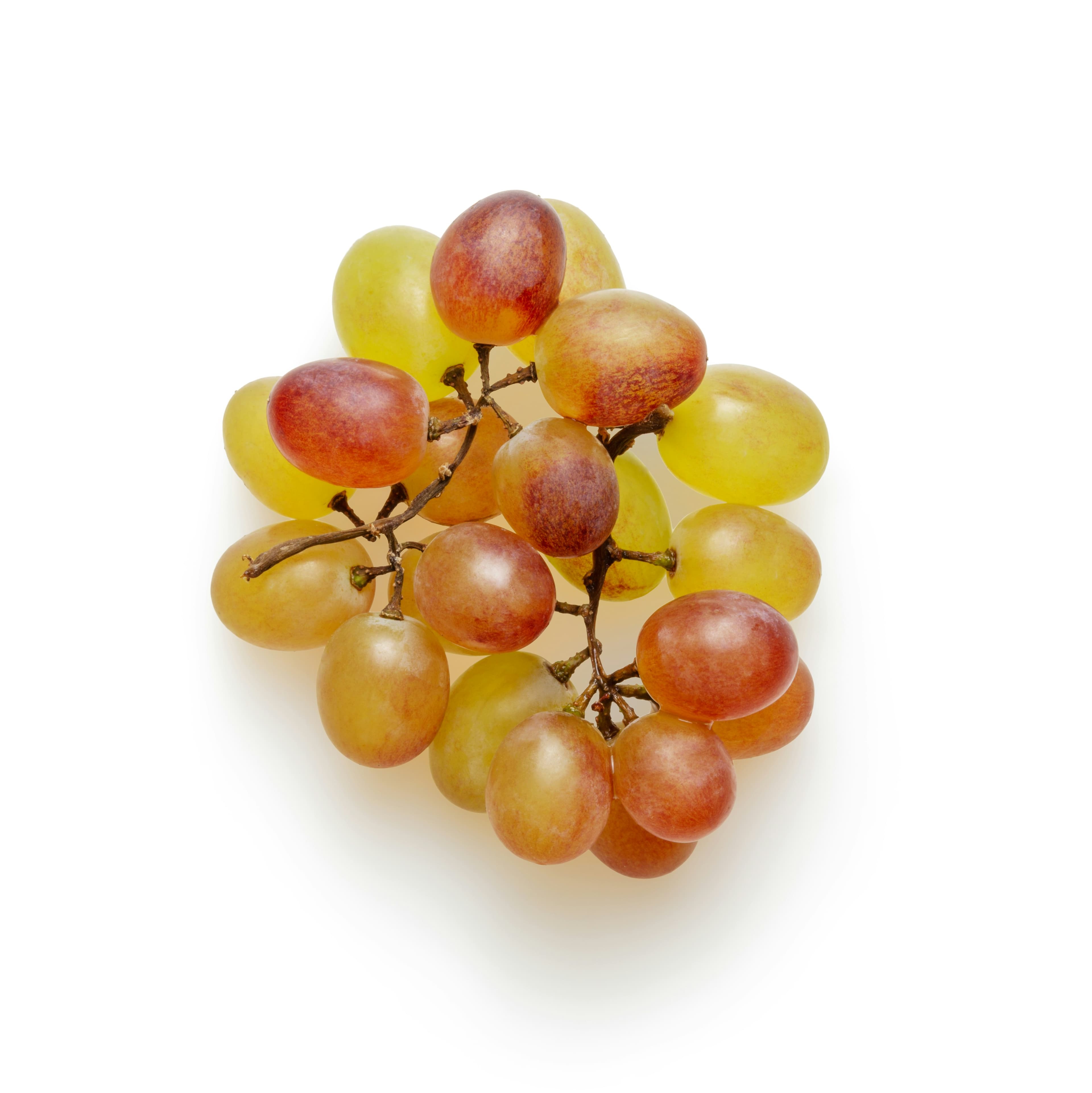 Fruit basket 2